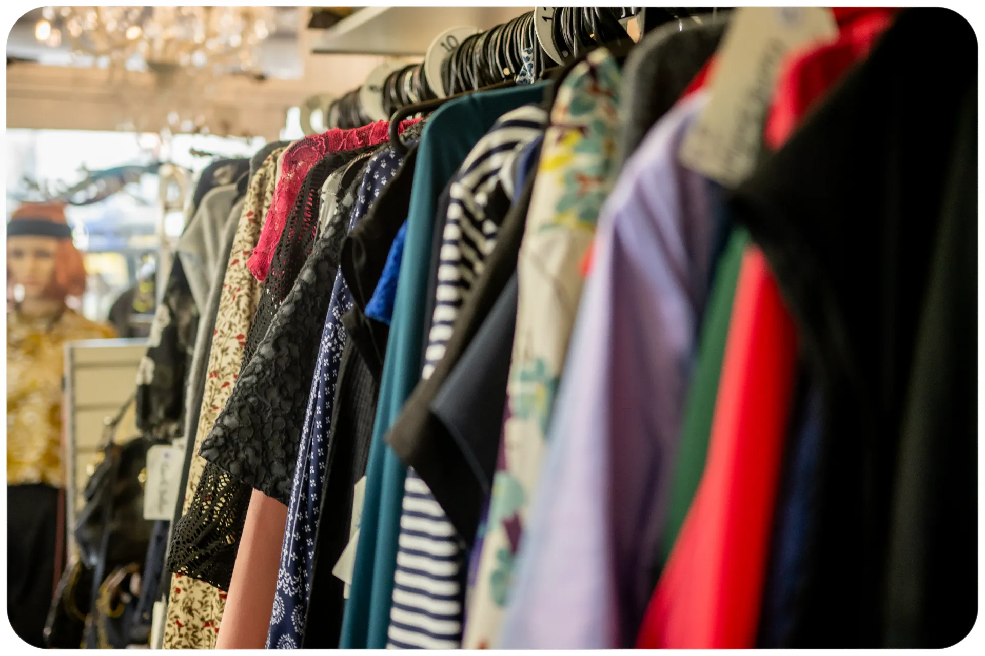 Coats and dresses on a hanger